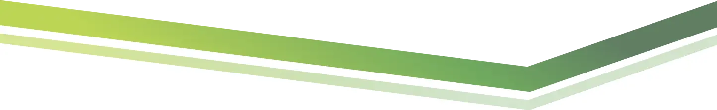 linea